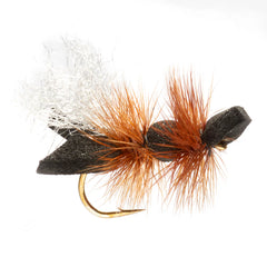 Orvis | Galactic Ant