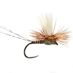 Orvis | Lexi's Tactical Get 'Er Dun May