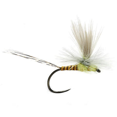 Orvis | Lexi's Tactical Get 'Er Dun May