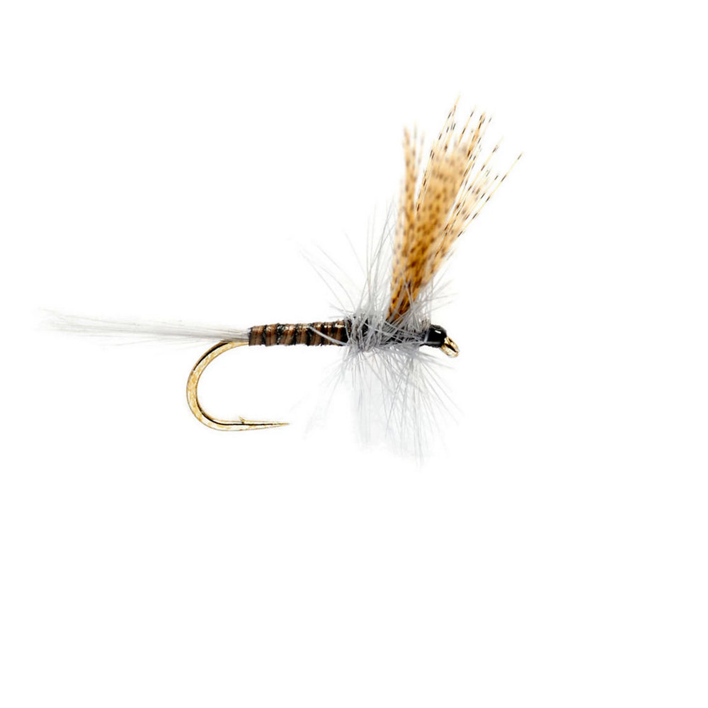 Orvis | Quill Gordon