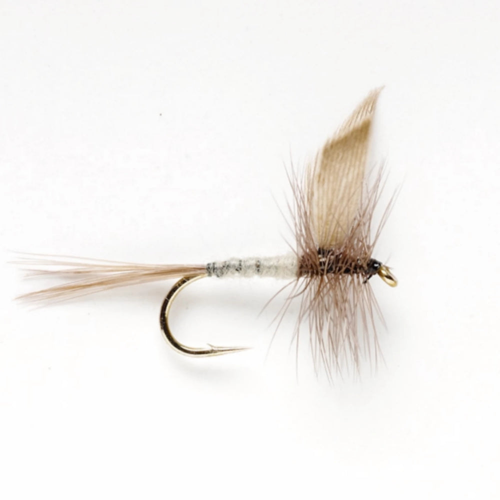 Orvis | Blue Dun