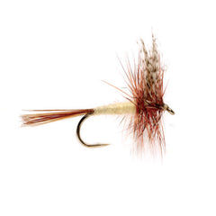 Orvis | Gray Fox