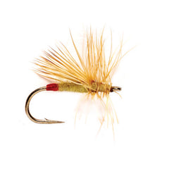 Orvis | Yellow Sally