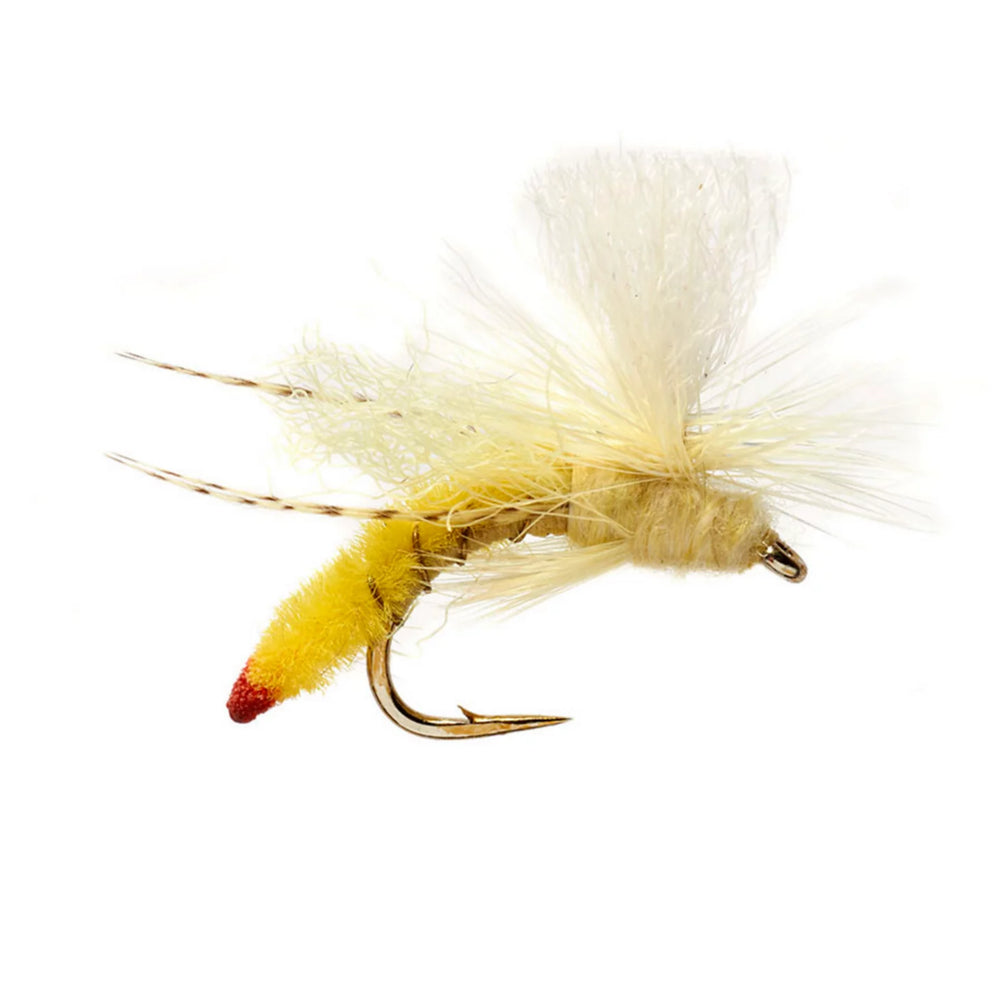 Orvis | Spotlight Yellow Sally