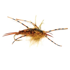 Orvis | Tungsten Nemec Stone Nymph