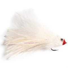 Orvis | Montauk Monster
