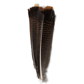Orvis | Mottled Turkey Feathers