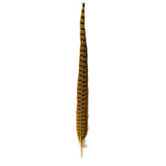 Orvis | Pheasant Tail