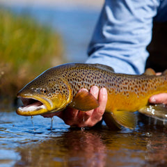 Orvis | Trout School At Falcon's Ledge, Utah