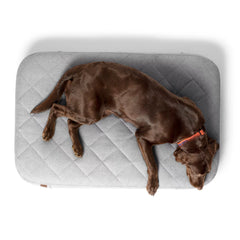 Orvis | Orvis RecoveryZone® Lounger Dog Bed