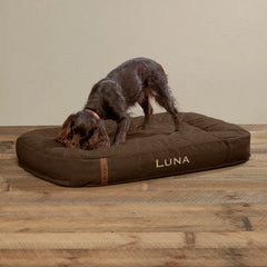 Orvis | ToughChew® Memory Foam Lounger Dog Bed