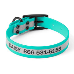 Orvis | Orvis Waterproof Dog Collar