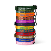 Orvis | Personalized Side-Release Buckle Collar
