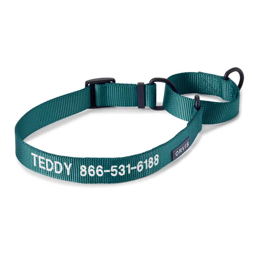 Orvis | Orvis Personalized Martingale Dog Collar