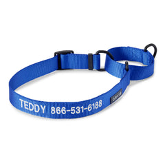 Orvis | Orvis Personalized Martingale Dog Collar