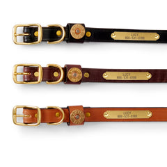 Orvis | Shotshell Dog Collar