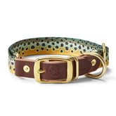 Orvis | Whiskey Leatherworks Adjustable Collar