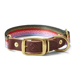 Orvis | Whiskey Leatherworks Adjustable Collar