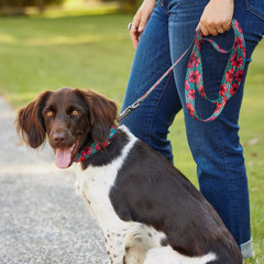 Orvis | Orvis x Fishe® Wear Dog Leash