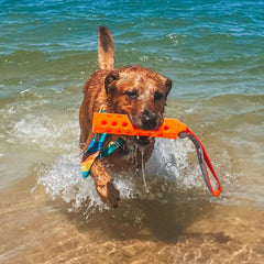 Orvis | Hydro Floating Dog-Training Bumper