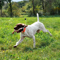 Orvis | Game-Bird Training Dummy