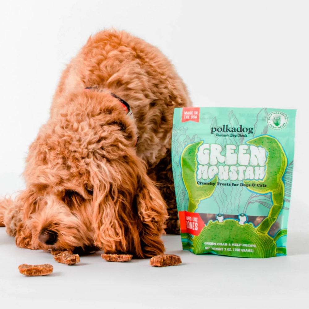 Orvis | Polkadog Green Monstah Bones