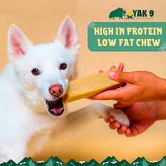 Orvis | Yak-9 Dog Chew - Single