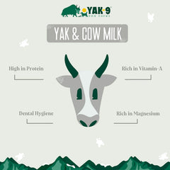 Orvis | Yak-9 Dog Chew - Single