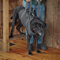 Orvis | Dog Lift