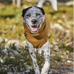 Orvis | Hurtta Warming Midlayer Eco Dog Jacket