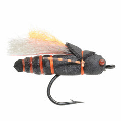 Orvis | Project Cicada