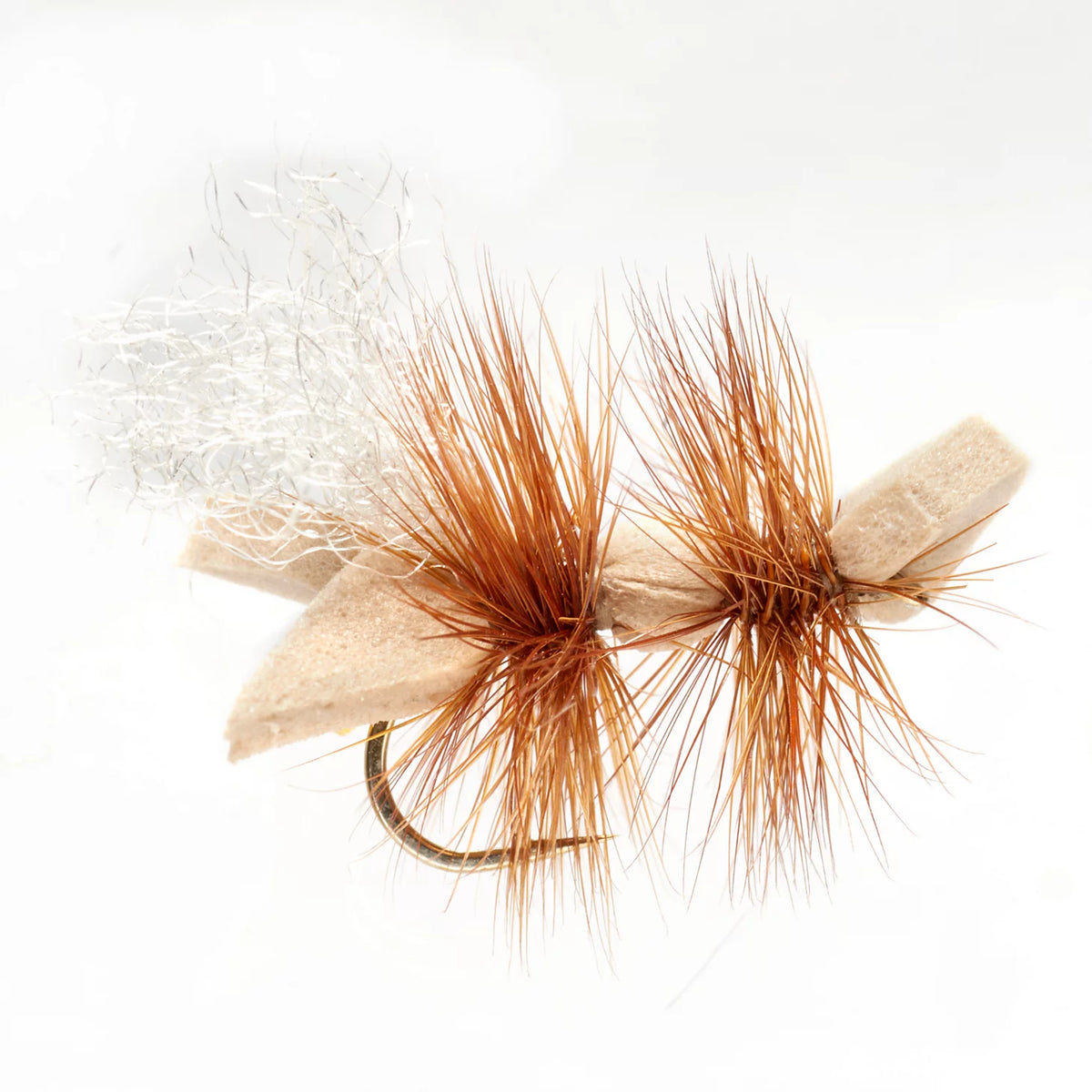 Orvis | Galactic Ant