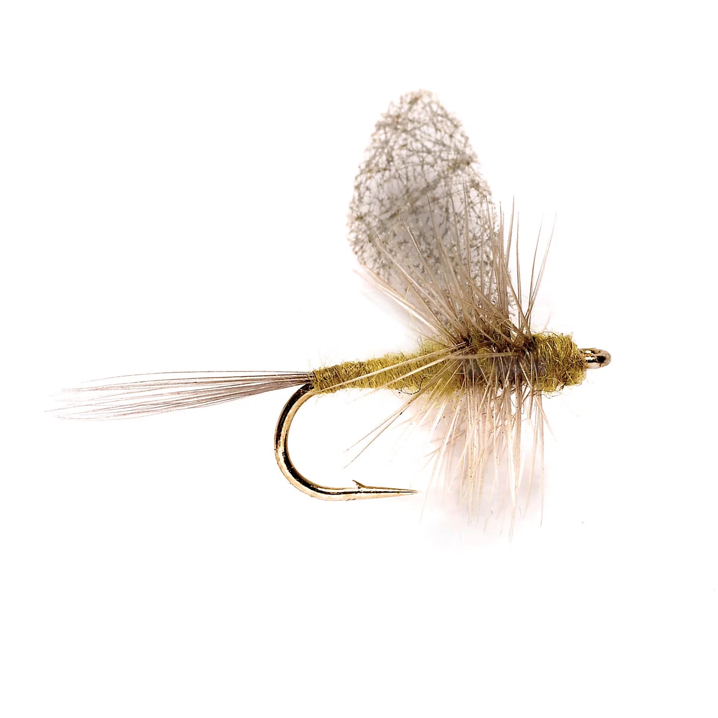 Orvis | Cripple Dun BWO