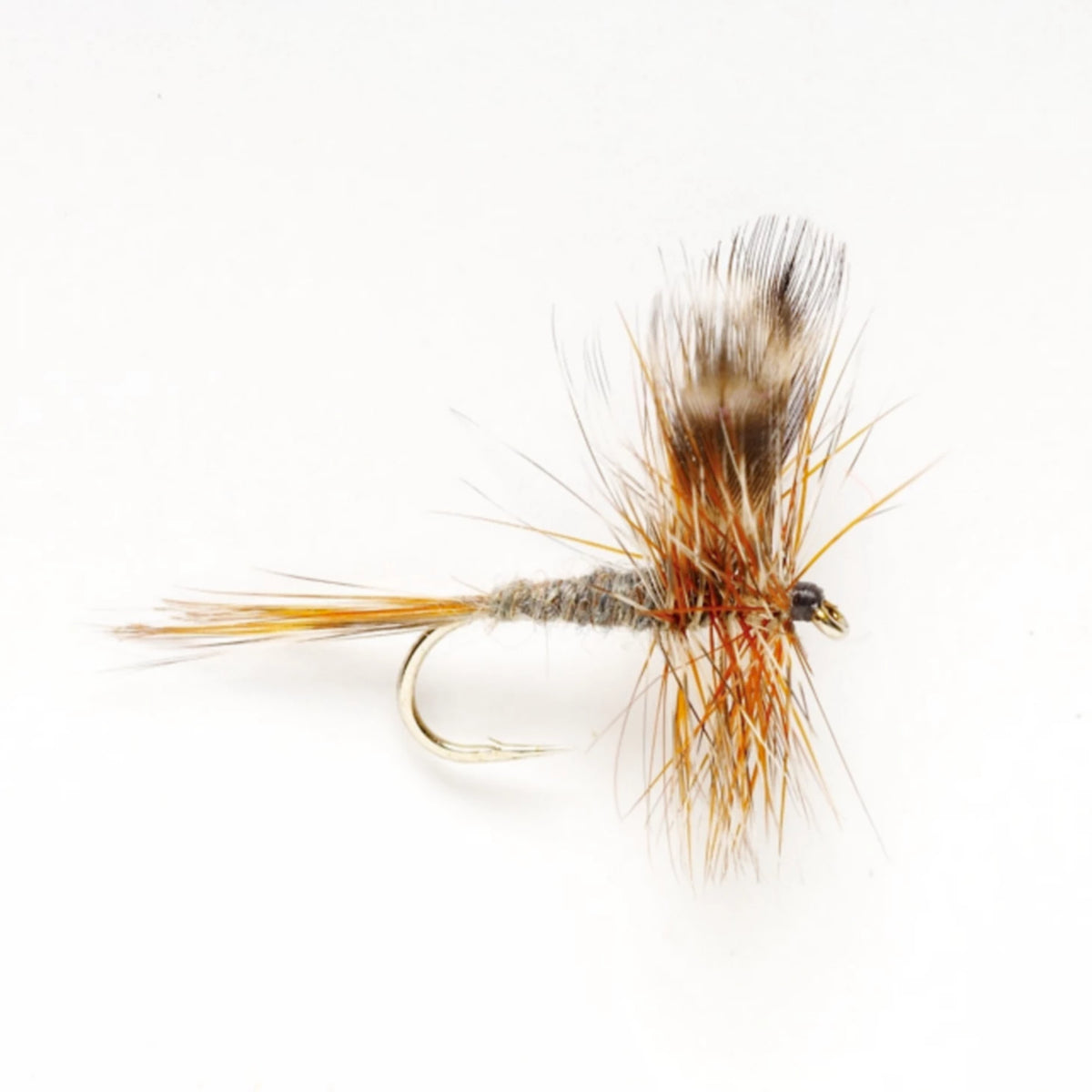 Orvis | Adams
