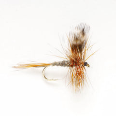 Orvis | Adams