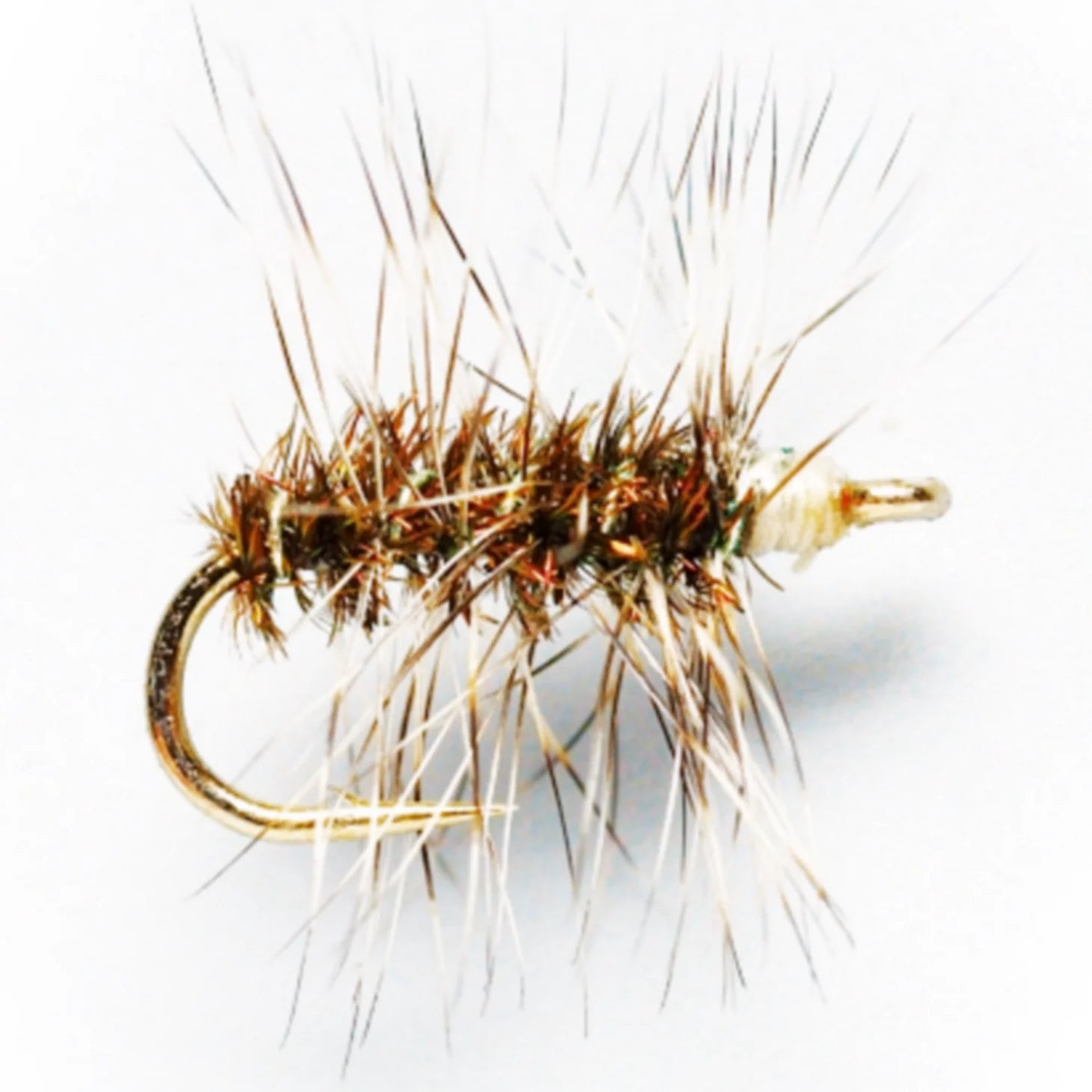 Orvis | Griffith's Gnat