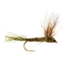 Orvis | Sparkle Dun