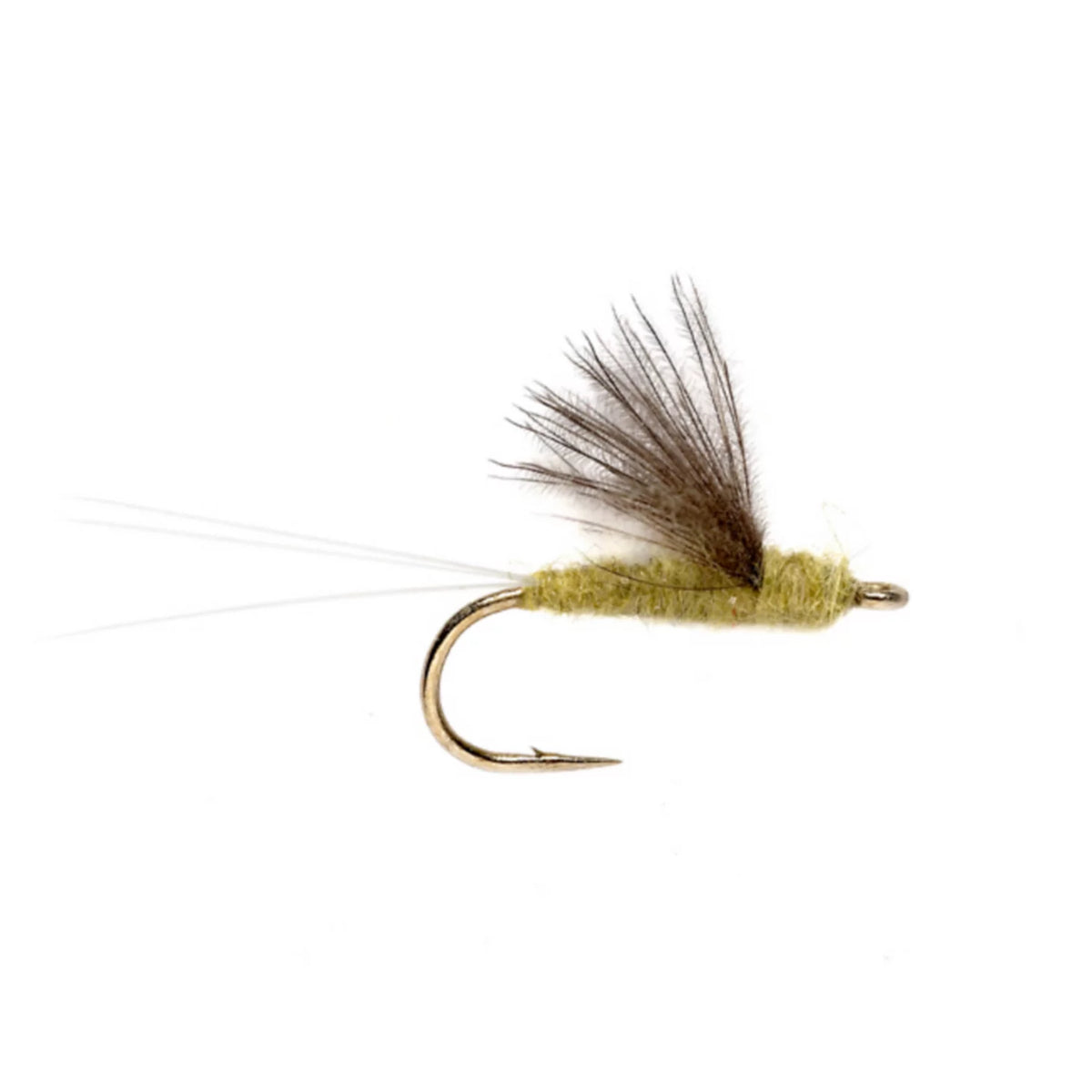 Orvis | RS2