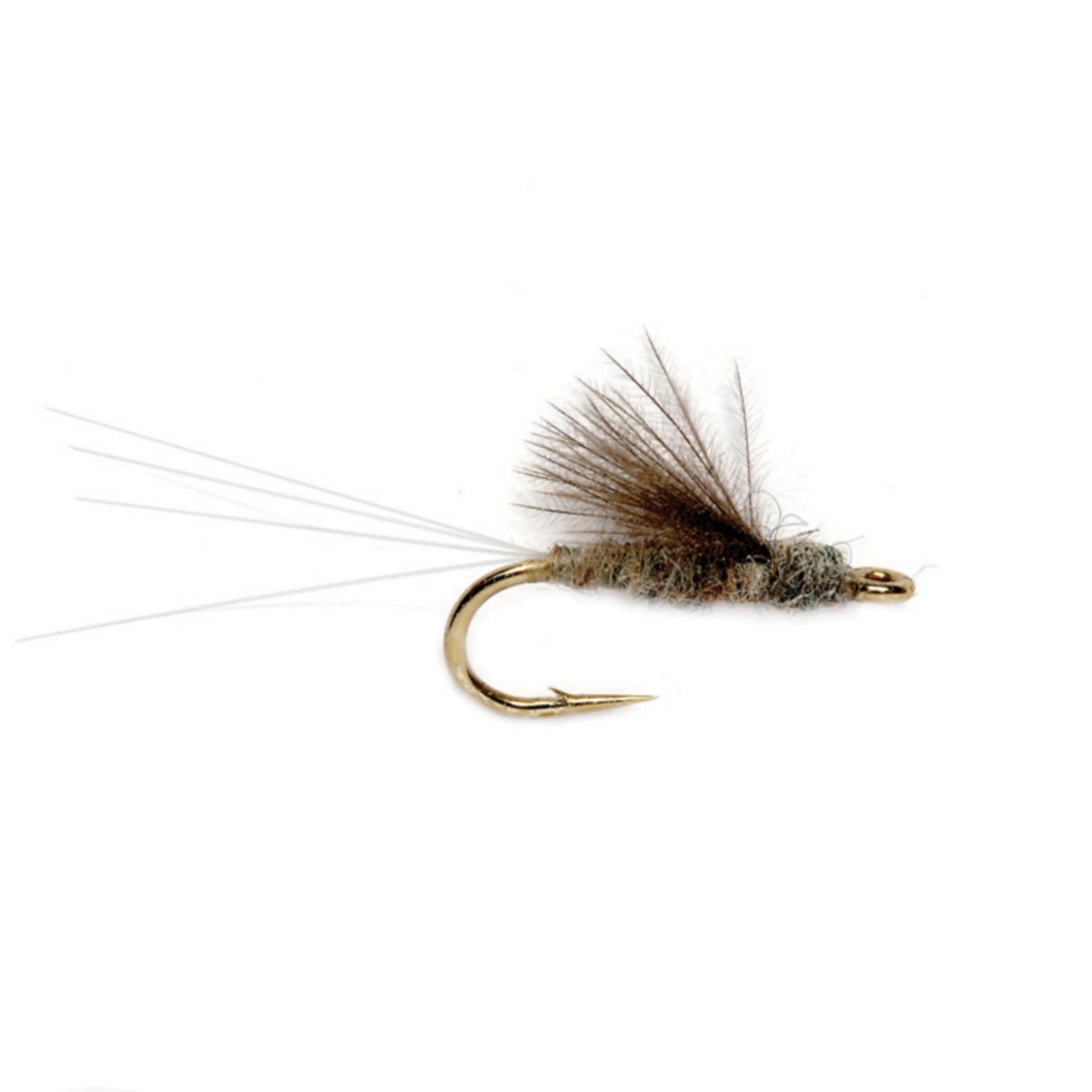 Orvis | RS2