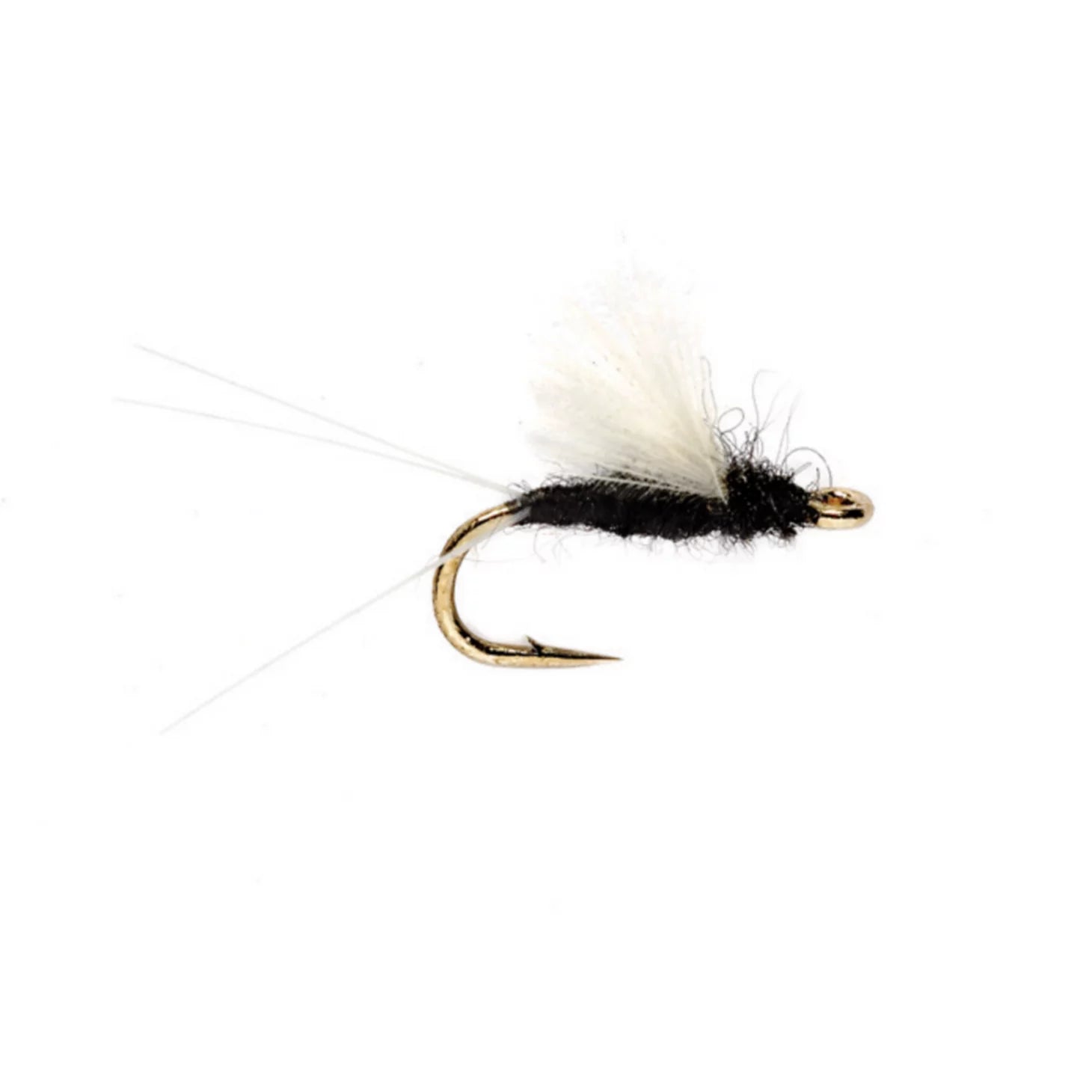 Orvis | RS2