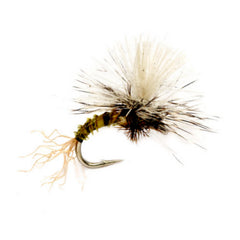 Orvis | Birchell's Hatching Midge