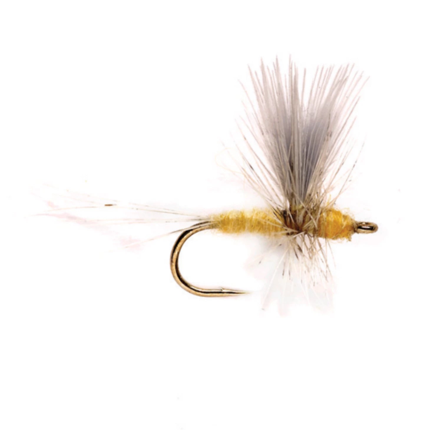 Orvis | Pale Morning Dun Thorax