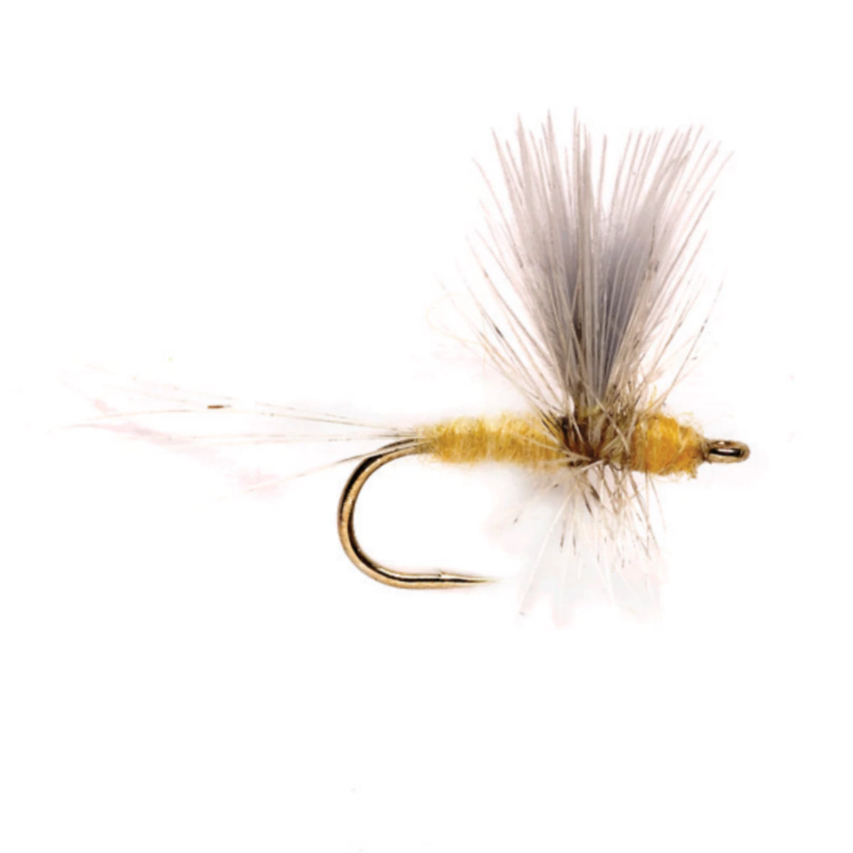 Orvis | Pale Morning Dun Thorax
