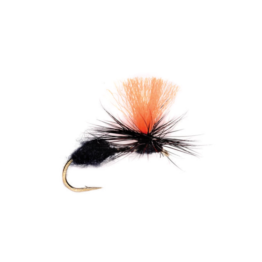 Orvis | Travis Para Ant