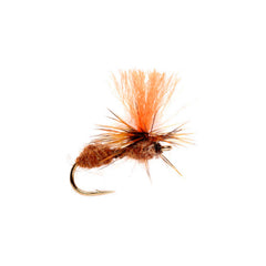 Orvis | Travis Para Ant