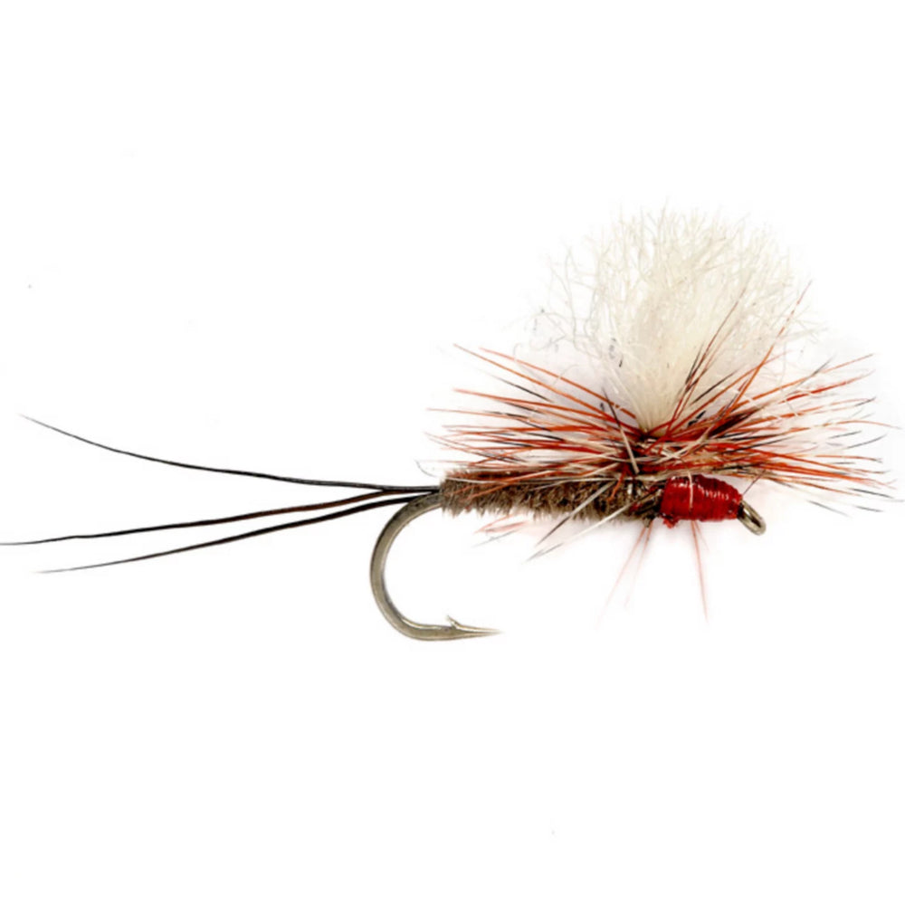 Orvis | Dave's Oh-So-Iso