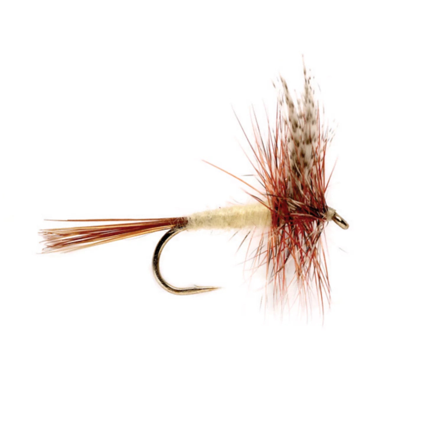 Orvis | Gray Fox