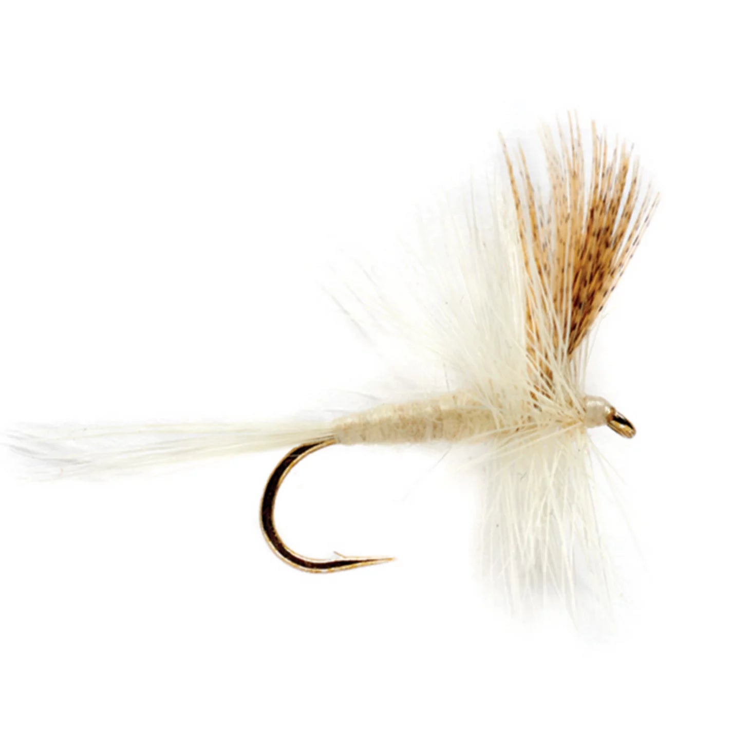 Orvis | Light Cahill