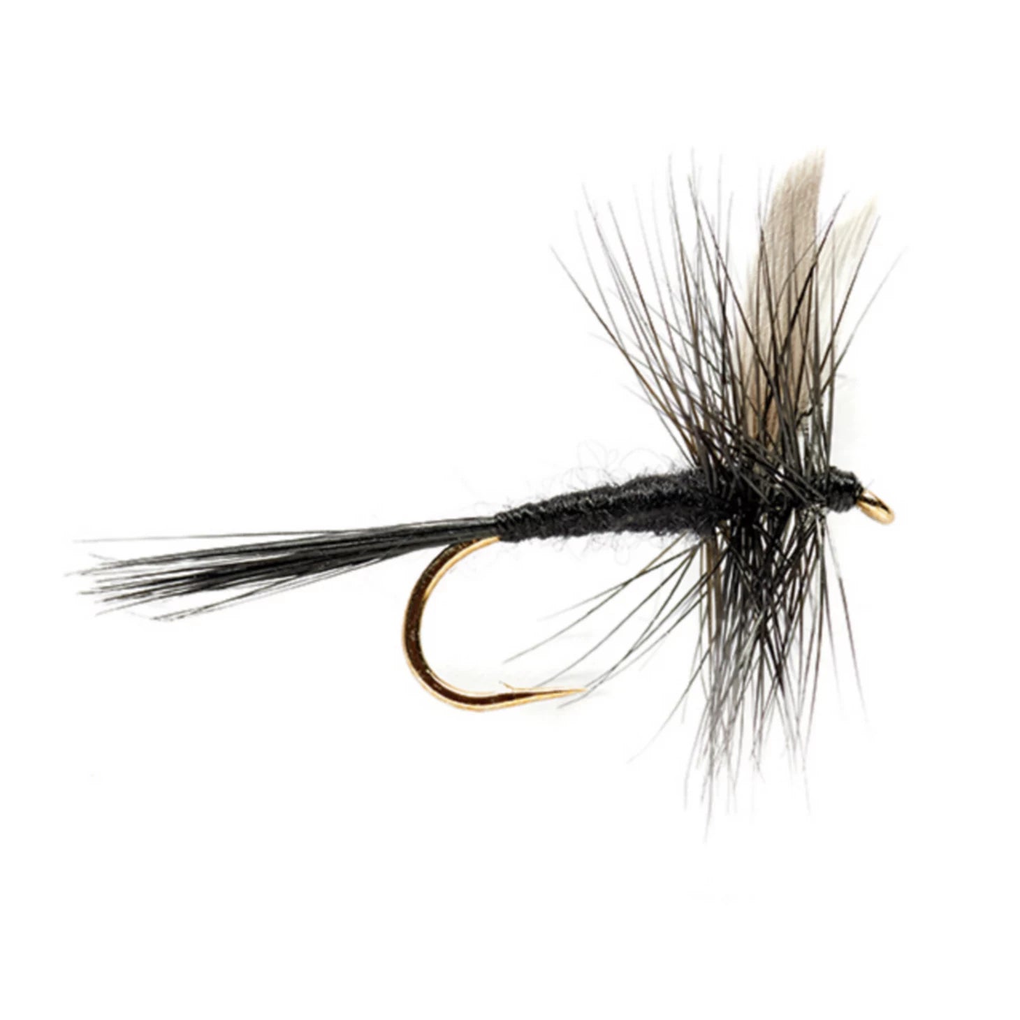 Orvis | Black Gnat