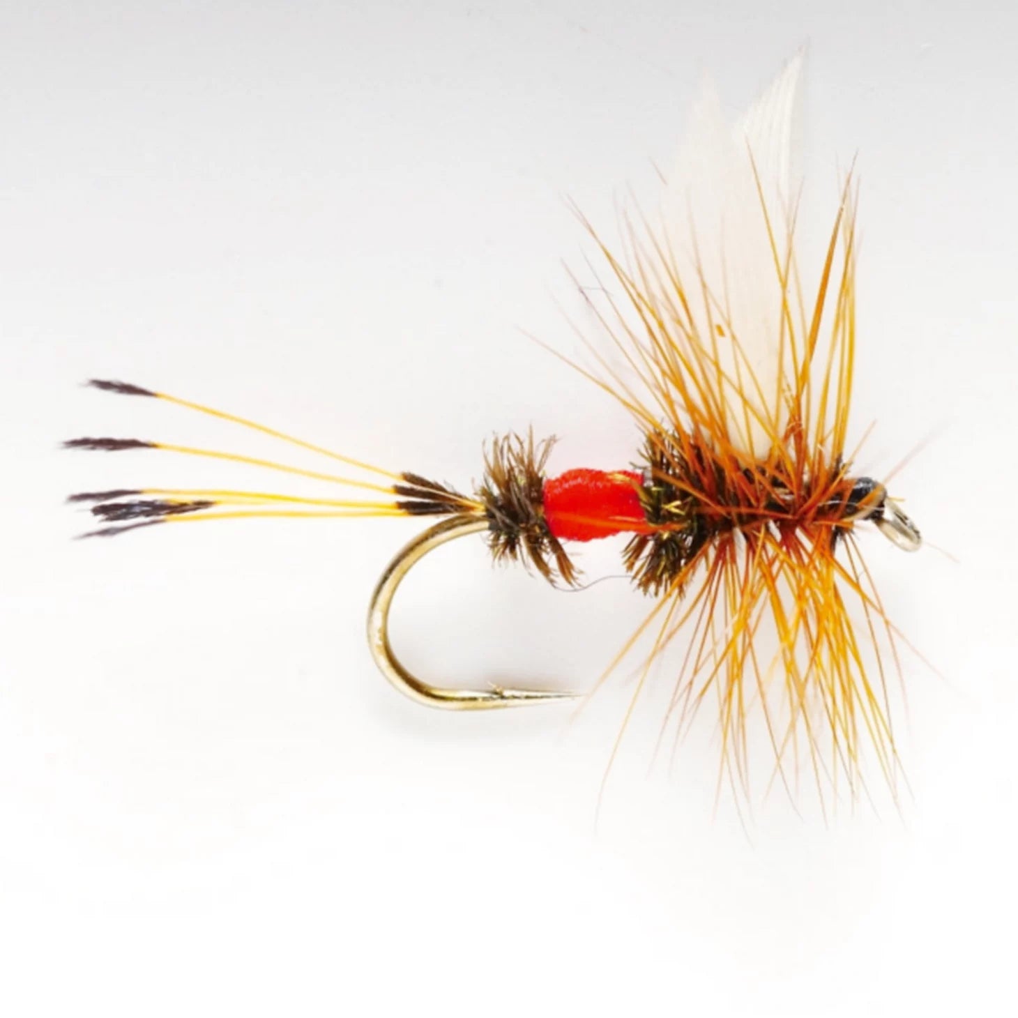 Orvis | Royal Coachman